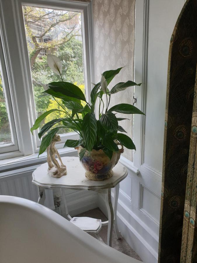 Judy'S B&B Private Home 卡迪夫 外观 照片